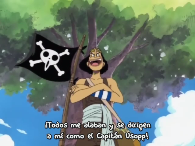 One Piece (Shichibukai)